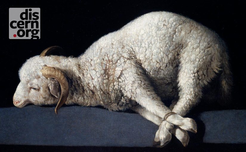 He Gave Them New Clothes (Genesis 2:4–3:24 Sermon Audio)